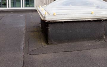disadvantages of The Forstal flat roofs