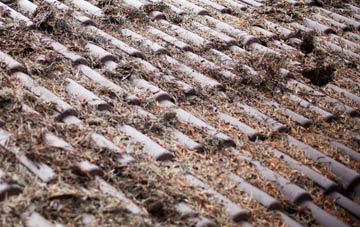 The Forstal roof cleaning companies