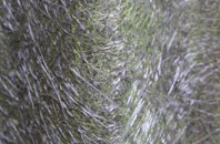 The Forstal fibreglass roof work